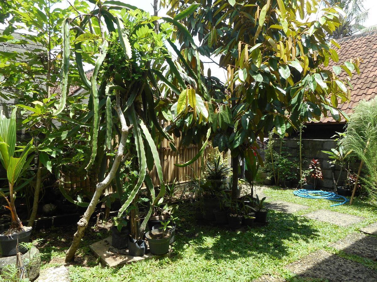 Ming Homestay Sidemen  Buitenkant foto